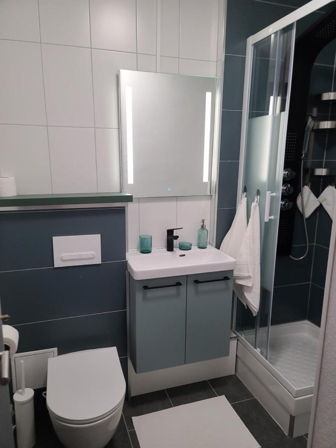Magnifique Studio 26M2 Belfort Εξωτερικό φωτογραφία