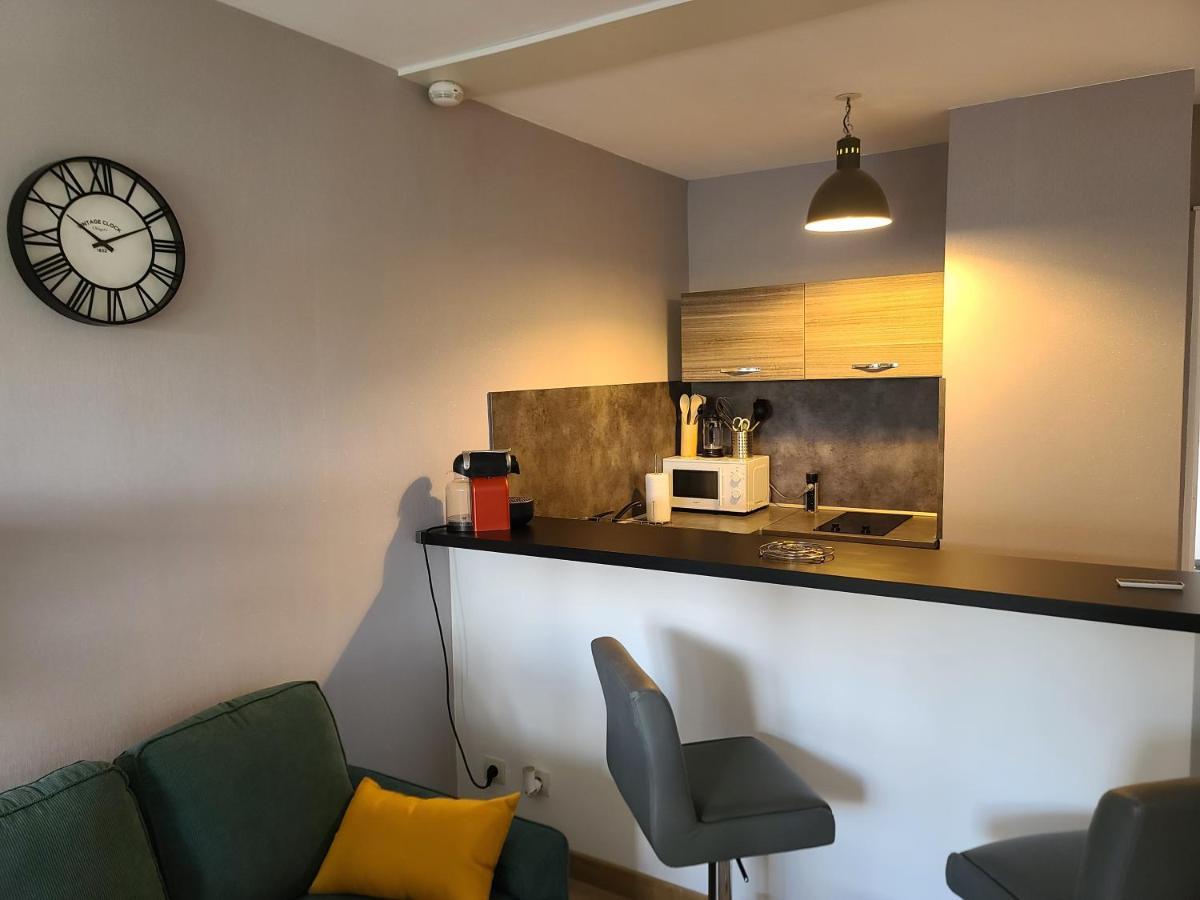 Magnifique Studio 26M2 Belfort Εξωτερικό φωτογραφία