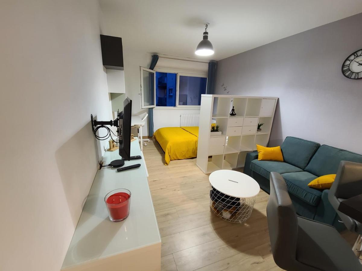 Magnifique Studio 26M2 Belfort Εξωτερικό φωτογραφία