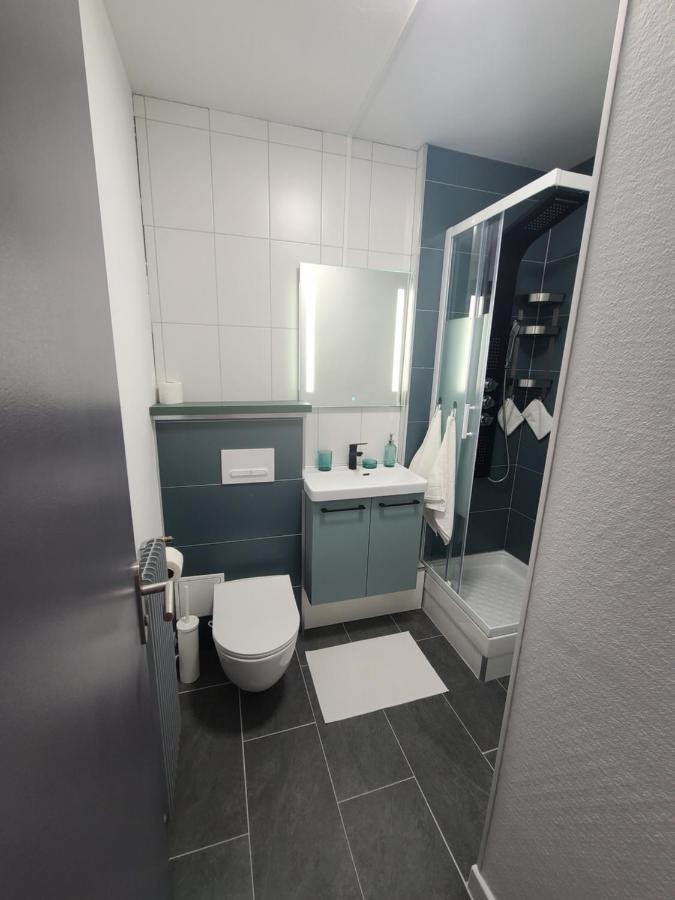 Magnifique Studio 26M2 Belfort Εξωτερικό φωτογραφία